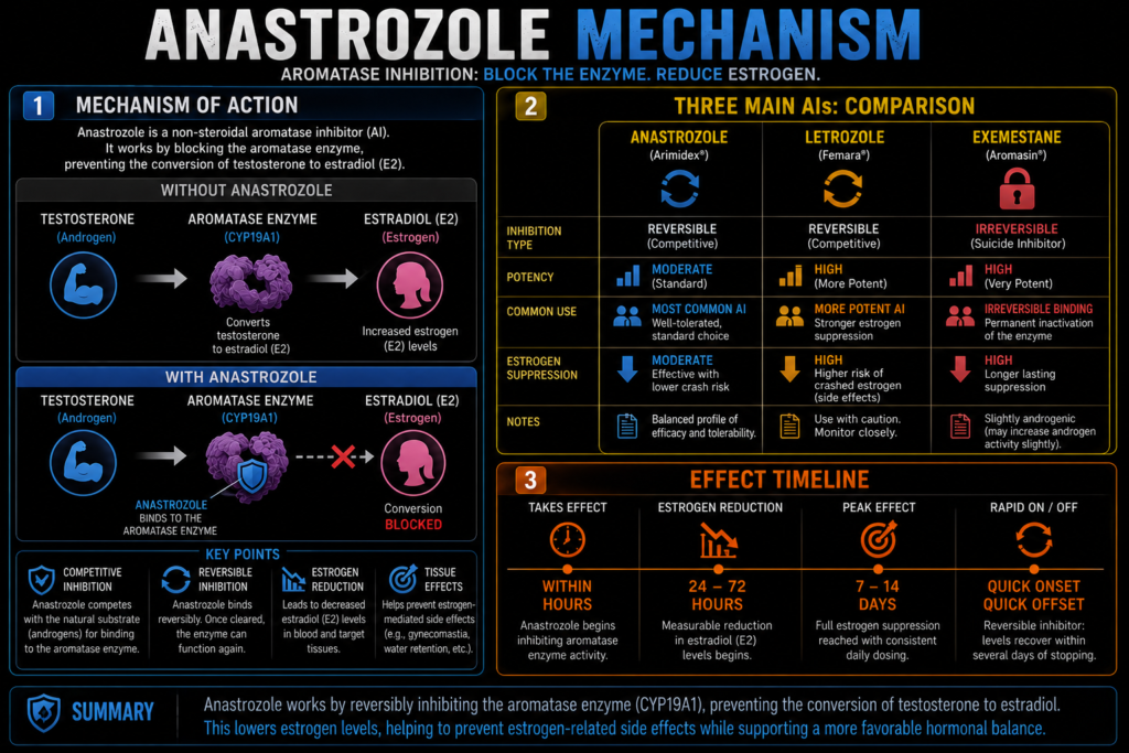 Anastrozole Arimidex aromatase inhibitor steroid cycle dosage guide